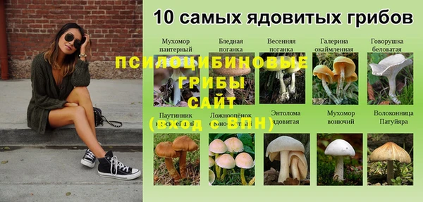 марихуана Богданович