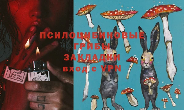 прущие крисы Бронницы