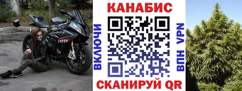 как найти наркотики  Бородино  МАРИХУАНА ГИДРОПОН 